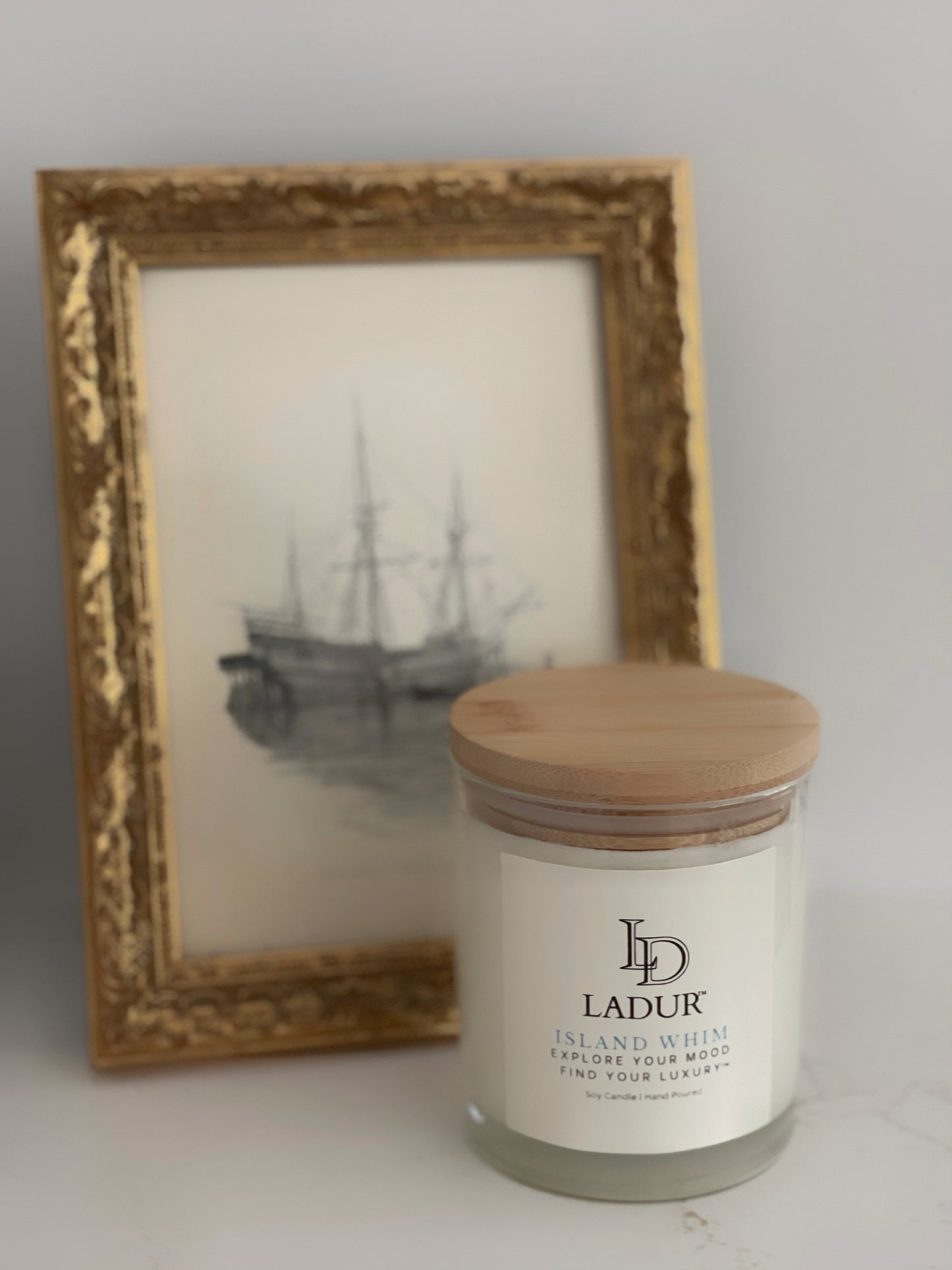 Forêt Lumière – Luxury Soy Candle, Net 08 oz | Wooden Wick |Crisp Forest Air