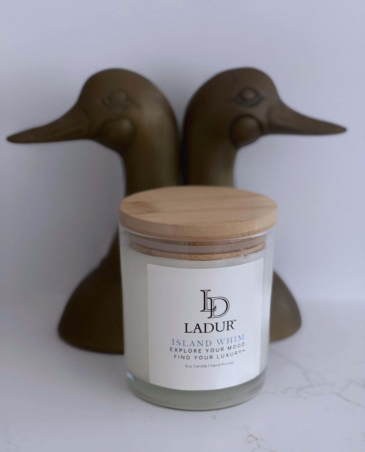 Island Whim – Soy Candle, Net 08 oz | Cotton Wick | Lush Island Fruits